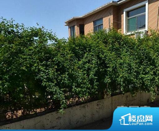 濟(jì)南河泰山莊最新住宅價(jià)格概覽與動(dòng)態(tài)分析