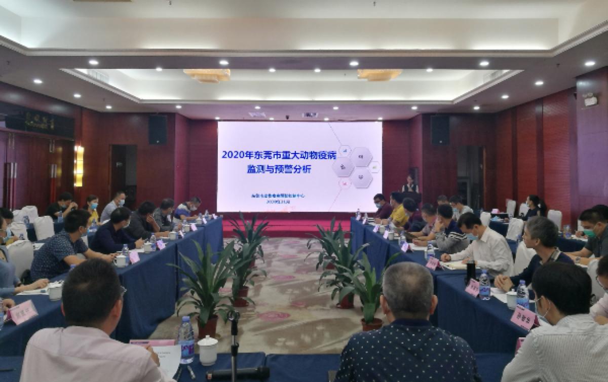 最新禽病動態(tài)深度解析與小巷特色小店探秘