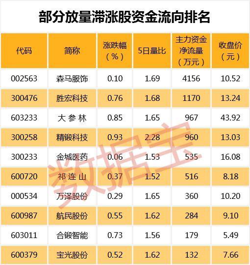 勝宏股票的溫馨日常故事概述