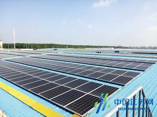 射陽最新招標(biāo)信息全面概覽