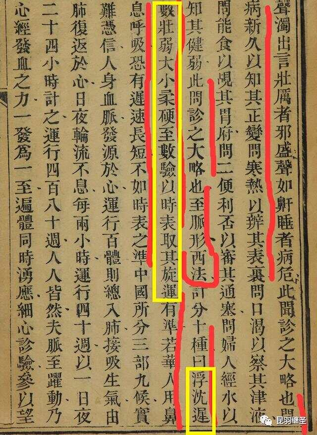 消瑤派科技新星重塑生活體驗的最新文章閱讀