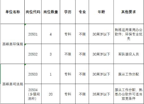 西峽吧最新職位招聘全面解析與觀點(diǎn)論述