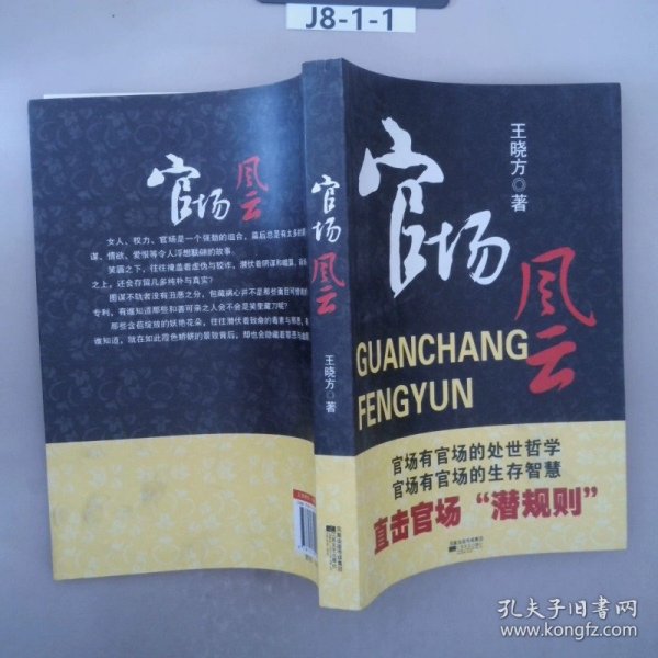 官場(chǎng)風(fēng)云新篇章，變革、挑戰(zhàn)與未來的展望