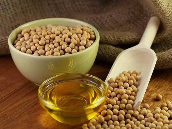 豆油價(jià)格行情最新信息及查詢步驟指南