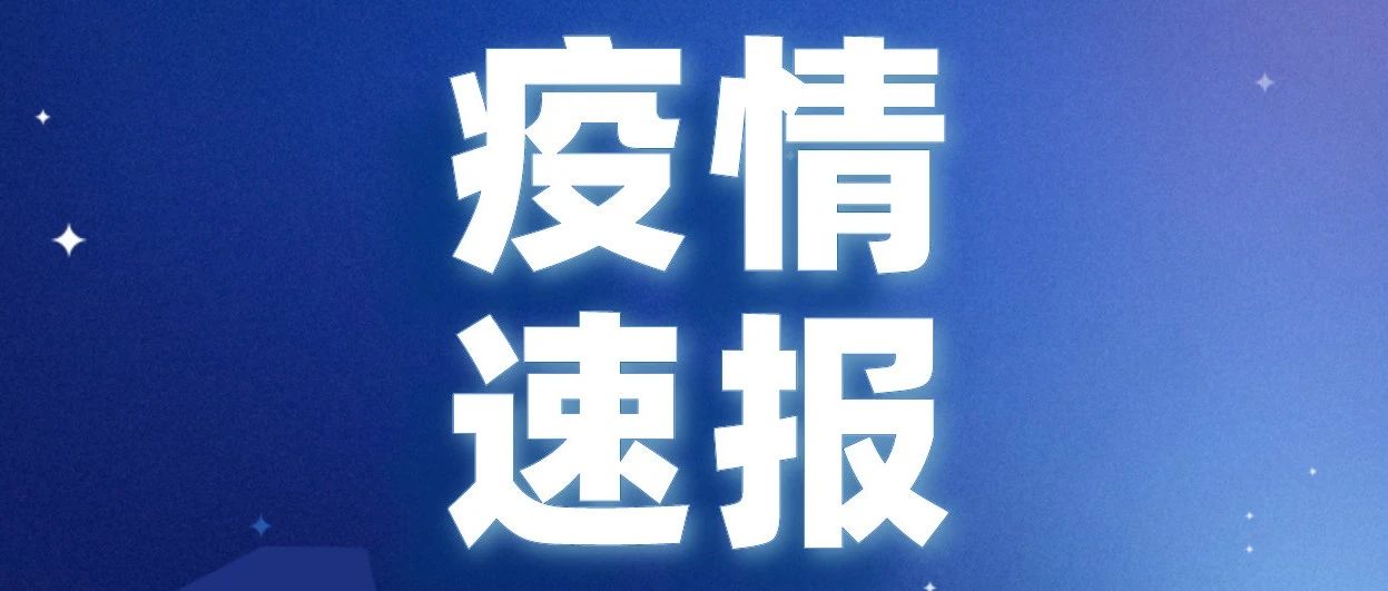 最新疫情通報(bào)與小巷深處的特色小店探秘