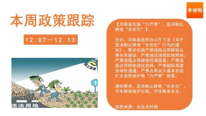 最新三農政策資訊解讀與動態(tài)更新