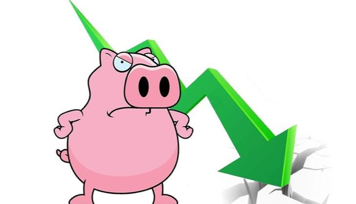 2025年生豬市場價格的動態(tài)預(yù)測與分析
