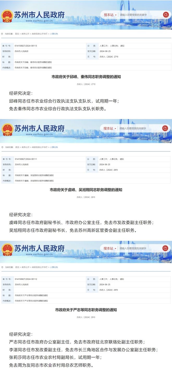德興市最新人事任免及其多元視角分析
