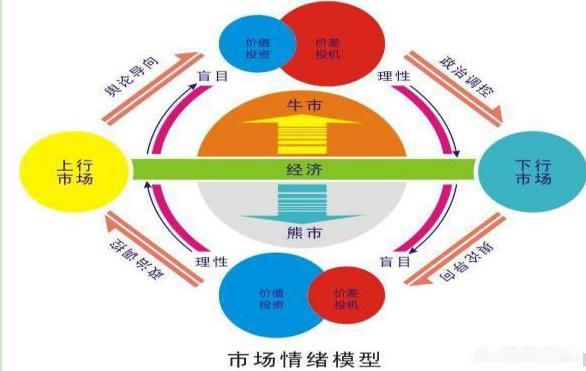 揭秘股票放大背后的邏輯與影響
