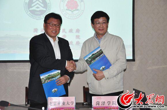 菏澤最新職位招聘求職全步驟指南