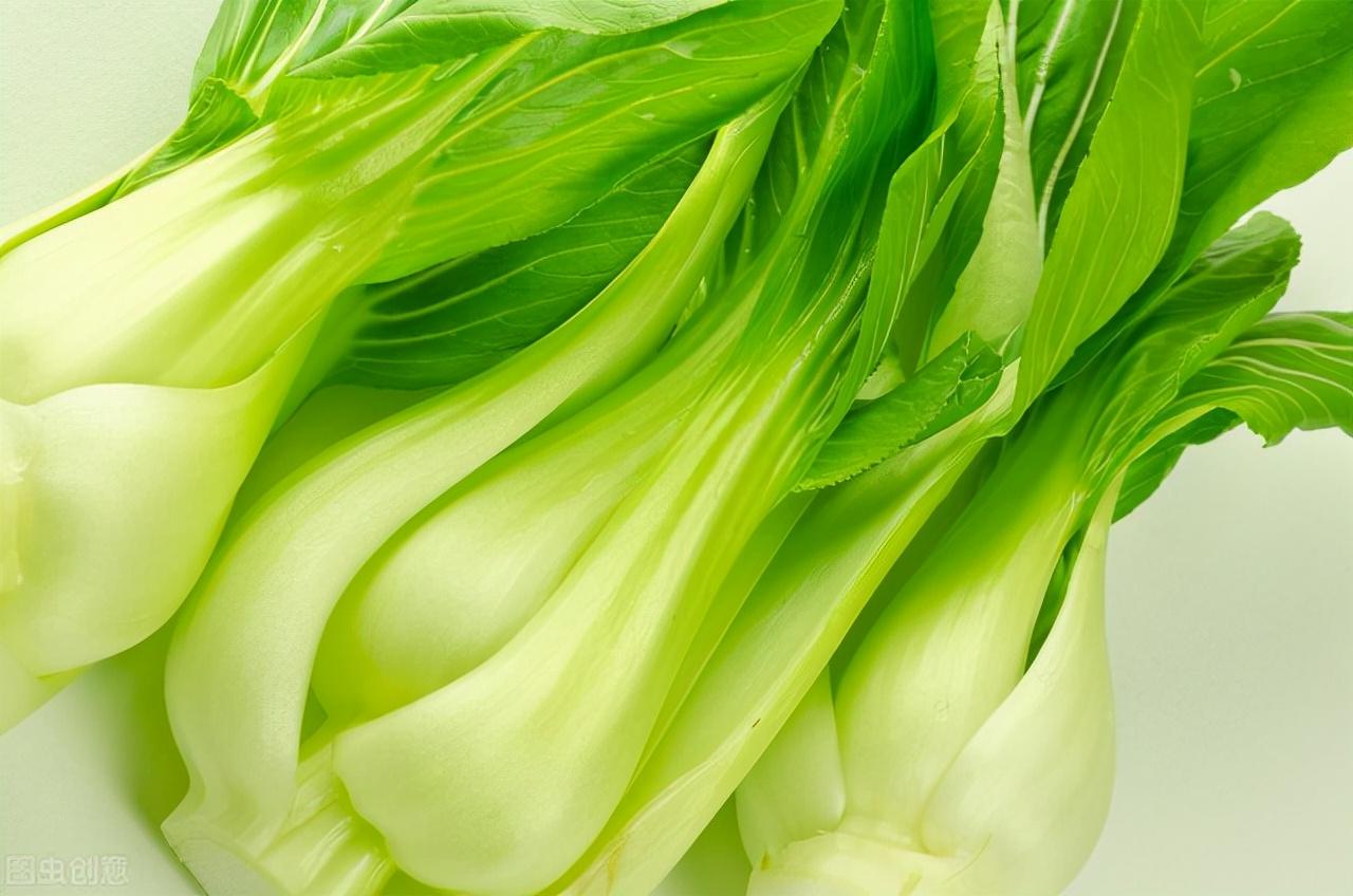 今日油菜行情深度分析