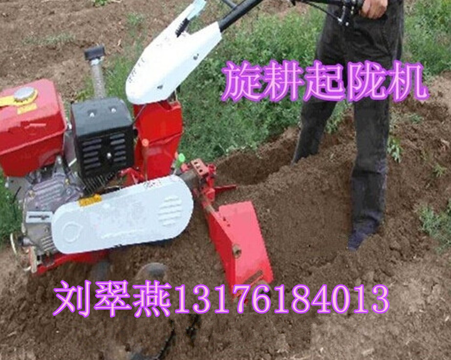 最新山地開荒機的奇妙日常探索之旅