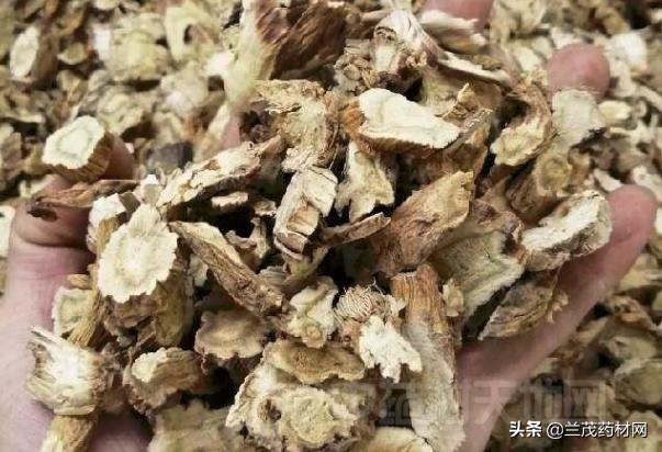 秦艽價格行情解析及趨勢分析