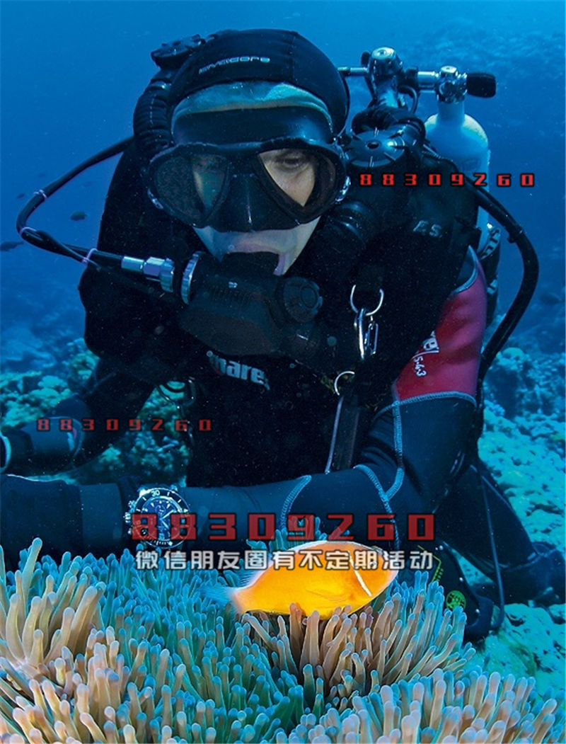 探索未來水下世界的最新型潛水技術(shù)