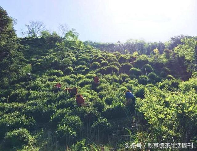 宣城最新冠狀病毒觀點闡述與分析