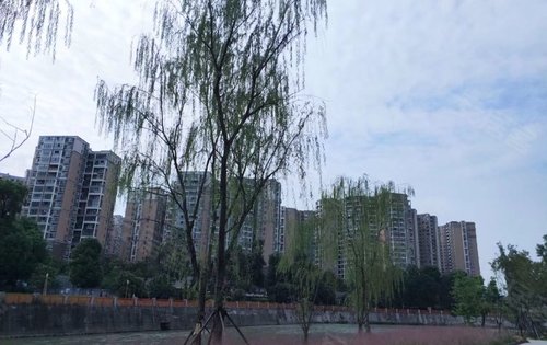 蜀鎮(zhèn)最新動態(tài)引領(lǐng)科技潮流重塑未來生活體驗(yàn)新篇章