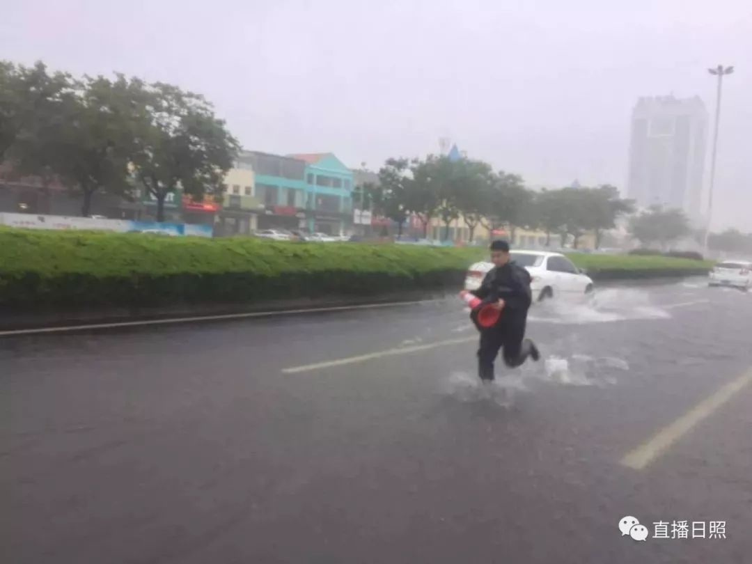 日照大暴雨下的溫馨日常與最新資訊