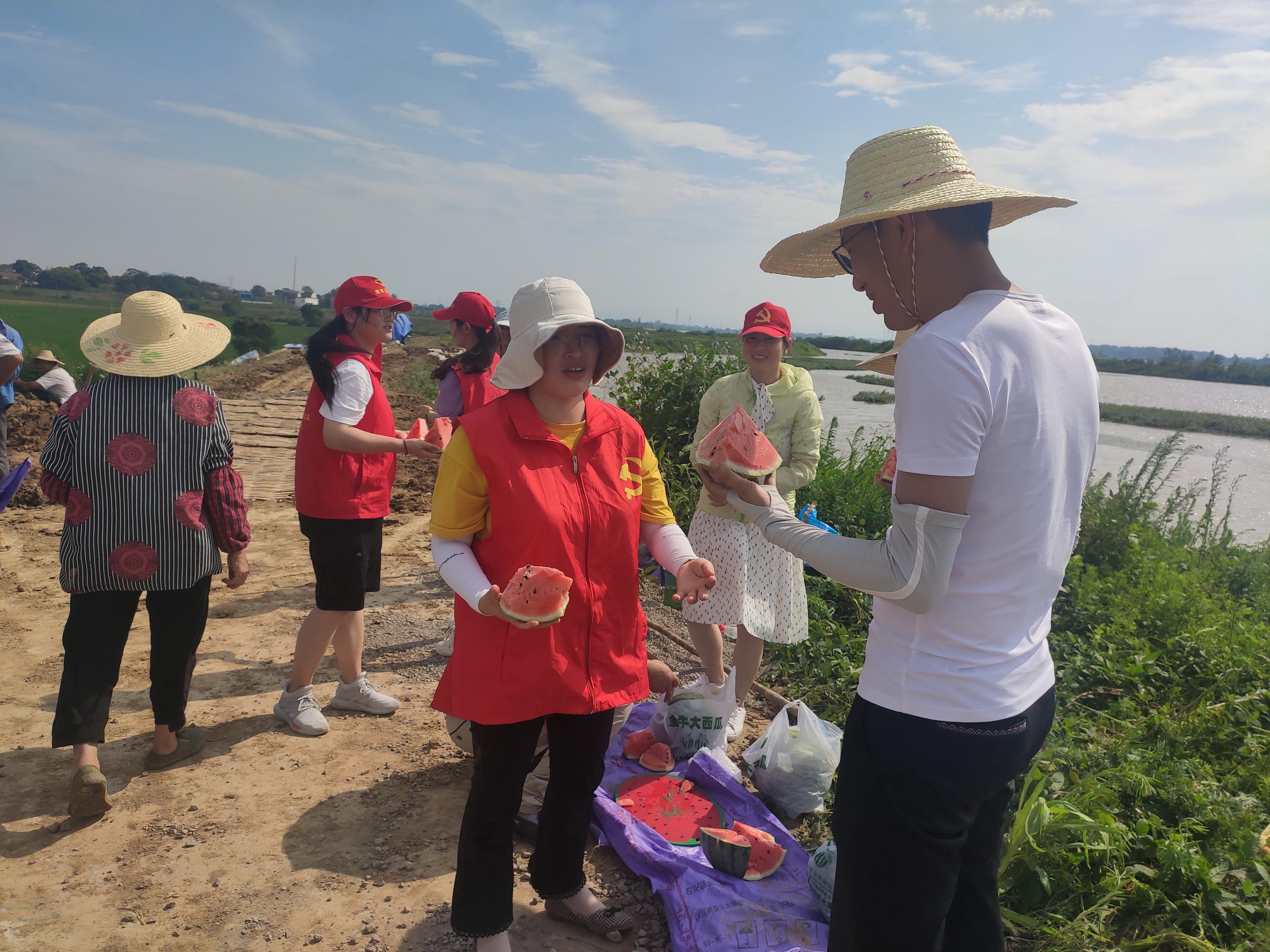 合肥廬江最新汛情解析與報(bào)告