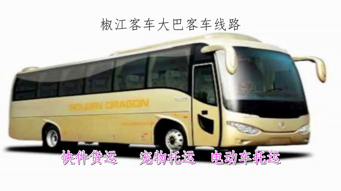 亳州公交車時(shí)間表更新探秘特色小店之旅