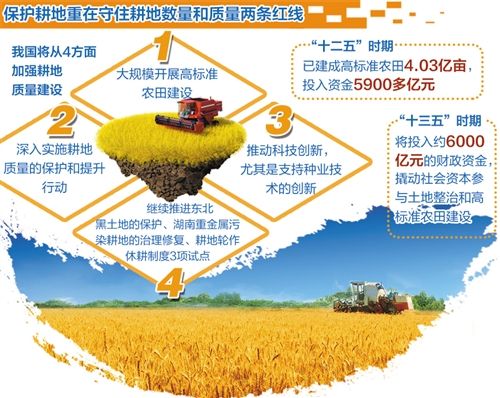 耕地占補(bǔ)平衡最新政策詳解與實(shí)施步驟指南