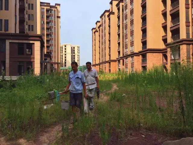 宜賓和都國際最新動(dòng)態(tài)更新
