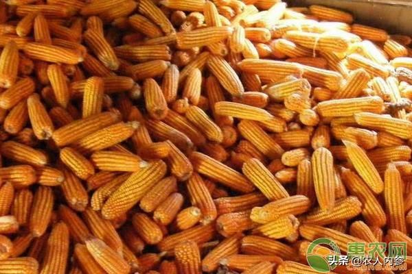 全國(guó)最新玉米價(jià)格行情深度解析與觀點(diǎn)論述
