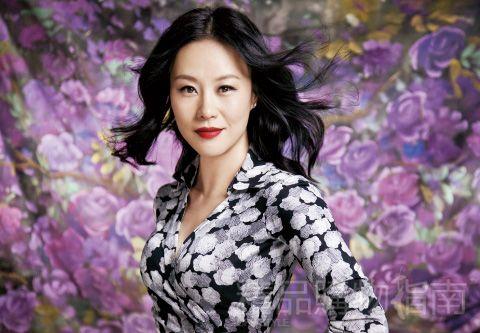 我的前半生續(xù)寫最新——人生的下一篇章探索