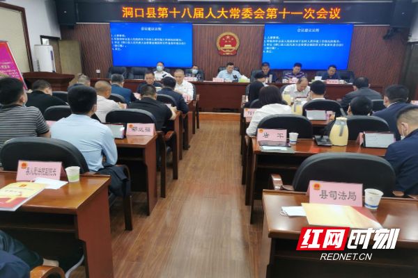 2025年洞口紅網下的溫馨日常最新消息