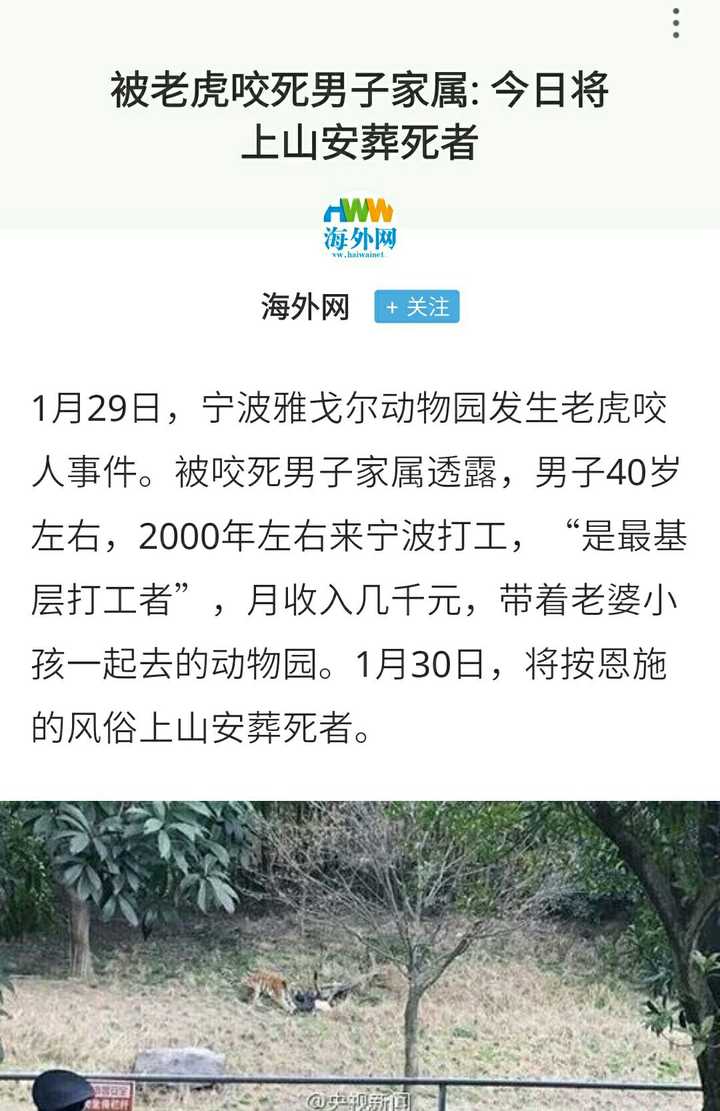 寧波老虎咬人事件最新進(jìn)展更新