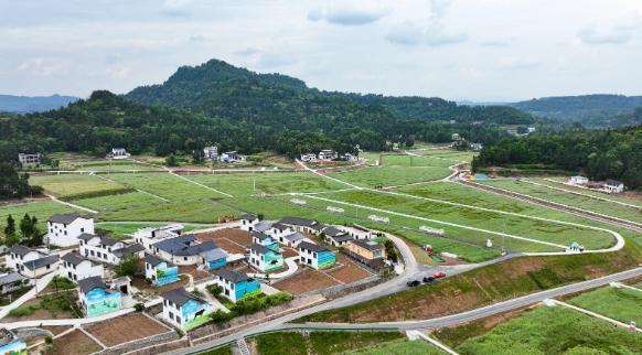 恩陽區(qū)柳林鎮(zhèn)最新新聞報道