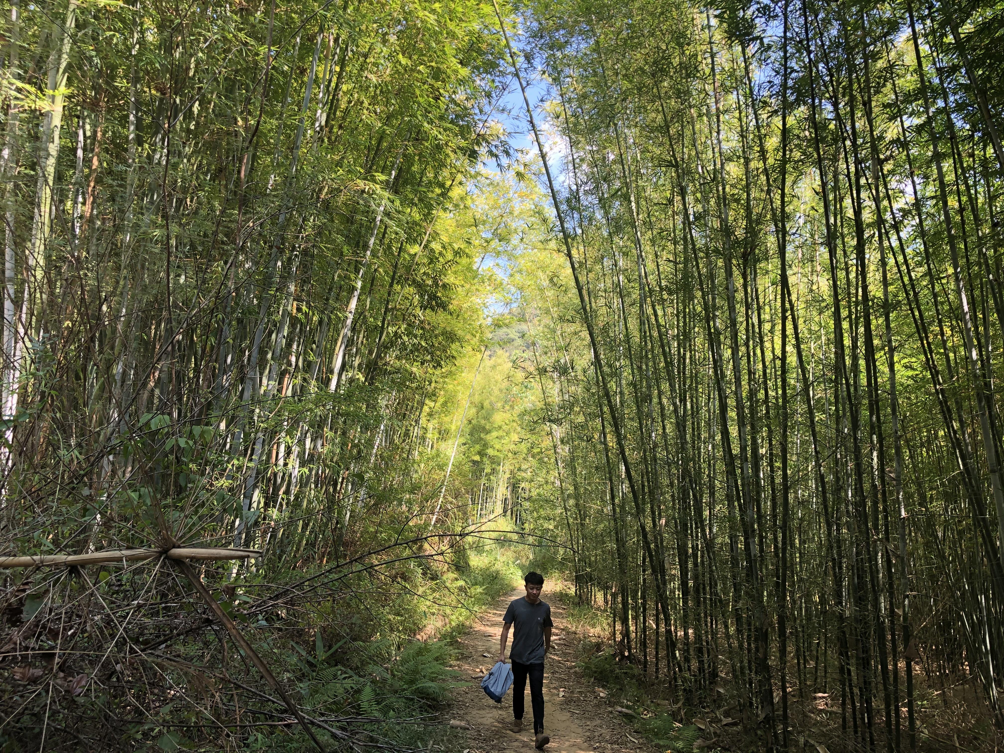 惠州蘆泰大橋最新動態(tài)與一段溫暖的橋梁故事