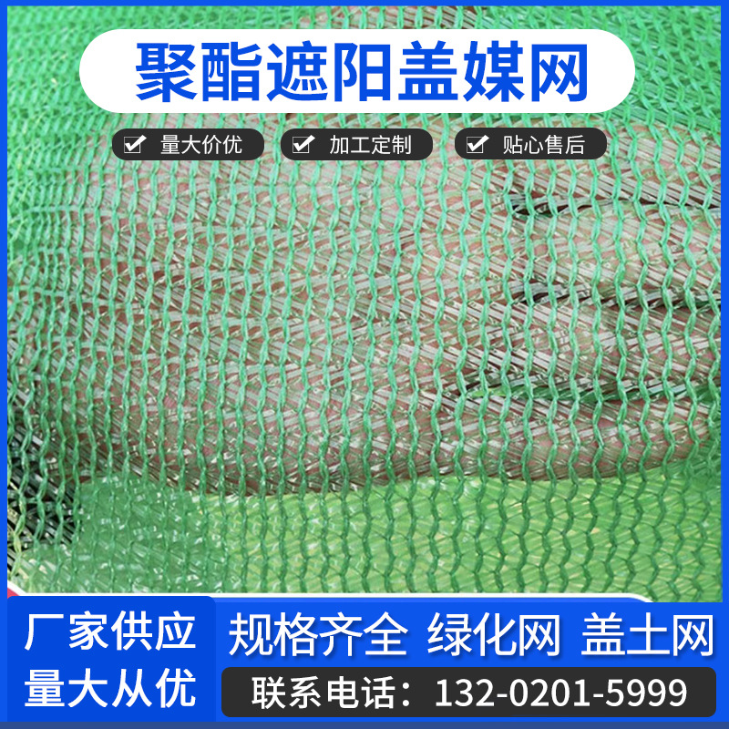 蓋網(wǎng)最新動態(tài)揭秘，一場溫馨的冒險之旅