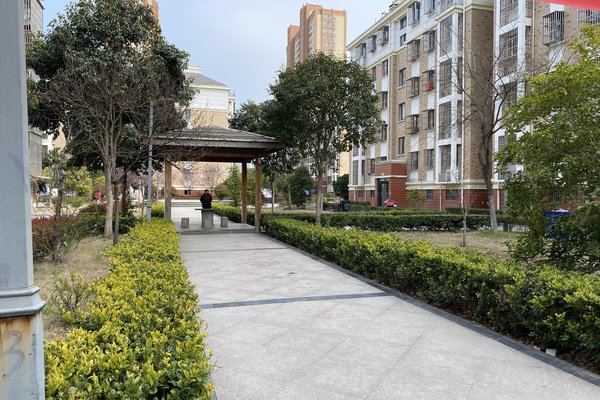 泗陽(yáng)東城一品最新圖片及其獲取指南