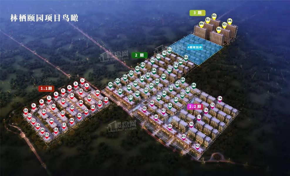 永清森林家園最新動態(tài)揭秘，森林中的日常趣事一網(wǎng)打盡！