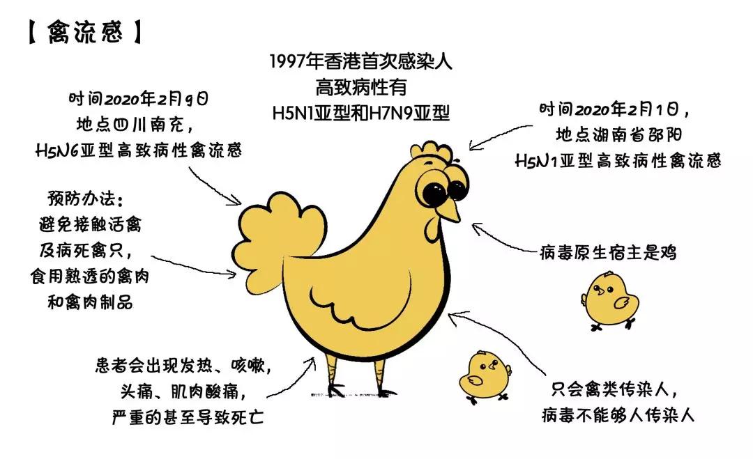 豬禽流感最新消息，2025年動態(tài)報告