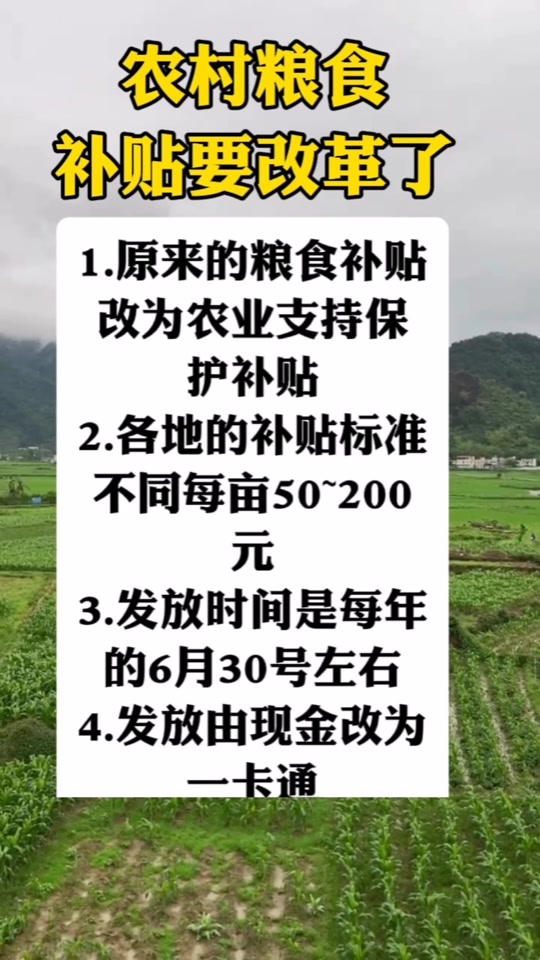 關于糧食直補的最新消息，展望2025年的政策動向